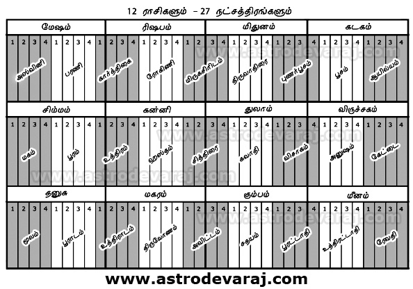 basic astrology in chennai